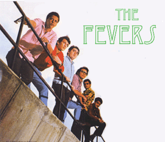 Portrait of The Fevers